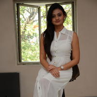 Nikitha Narayan at Ladies and Gentlemen Press Meet Photos | Picture 950000