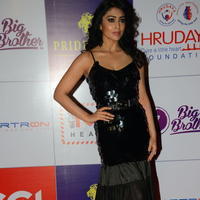 Shriya Saran at 100 Hearts Red Carpet by CCL Photos | Picture 951260
