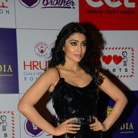 Shriya Saran at 100 Hearts Red Carpet by CCL Photos | Picture 951271