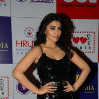 Shriya Saran at 100 Hearts Red Carpet by CCL Photos | Picture 951272