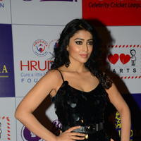 Shriya Saran at 100 Hearts Red Carpet by CCL Photos | Picture 951273