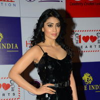 Shriya Saran at 100 Hearts Red Carpet by CCL Photos | Picture 951309