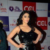 Shriya Saran at 100 Hearts Red Carpet by CCL Photos | Picture 951327