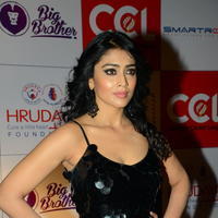 Shriya Saran at 100 Hearts Red Carpet by CCL Photos | Picture 951331