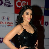 Shriya Saran at 100 Hearts Red Carpet by CCL Photos | Picture 951337