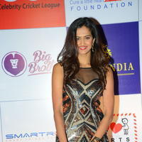 Shubra Aiyappa at 100 Hearts Red Carpet by CCL Stills | Picture 950978