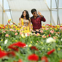 Bhale Bhale Magadivoy Movie Gallery | Picture 1056529