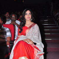 Ritu Varma at Cinema Chupista Maava Movie Audio Launch Photos | Picture 1056841