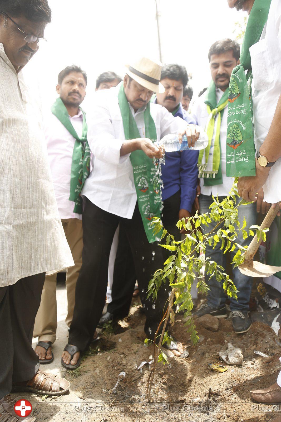 MAA Haritha Haram Event Photos | Picture 1058262