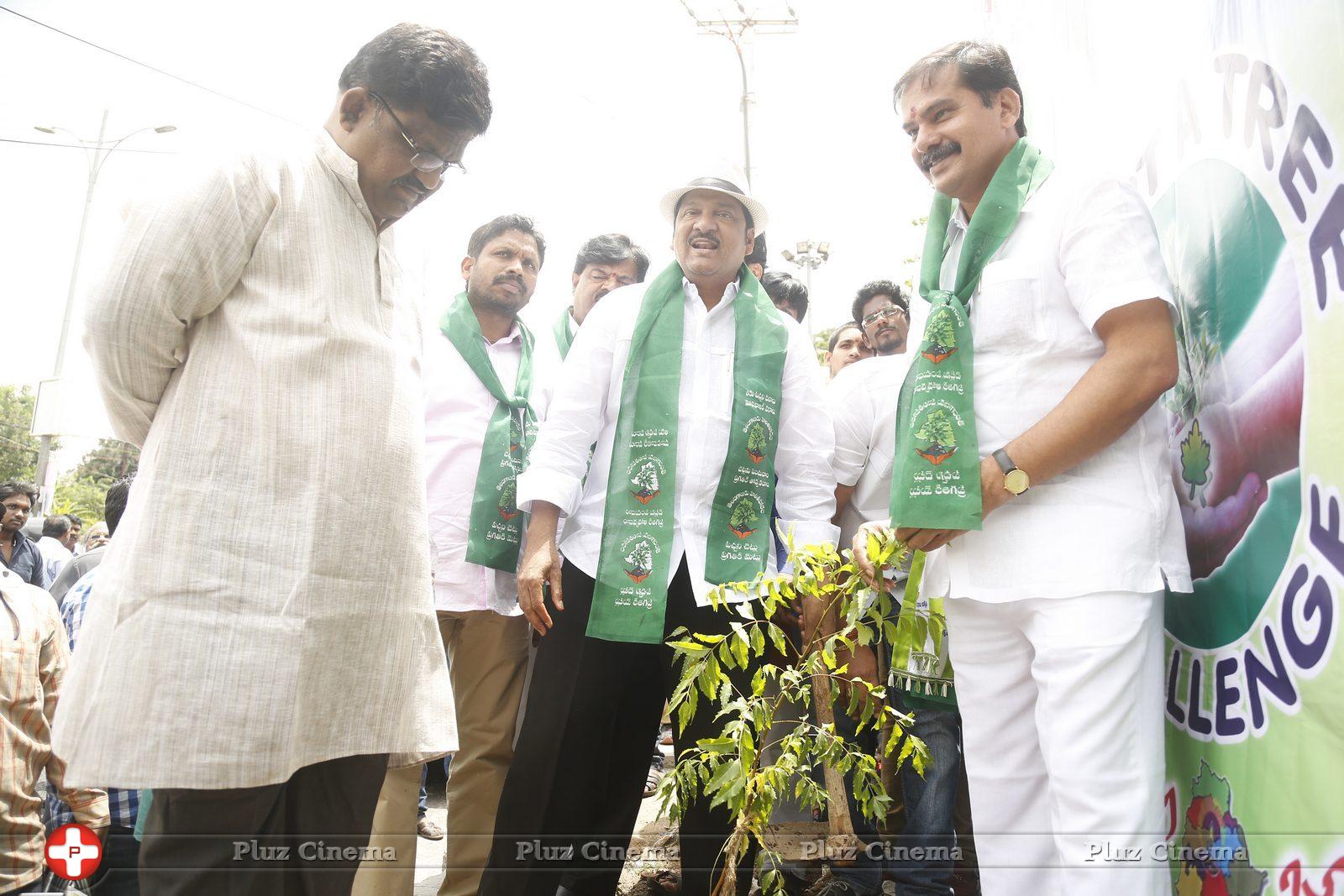 MAA Haritha Haram Event Photos | Picture 1058268