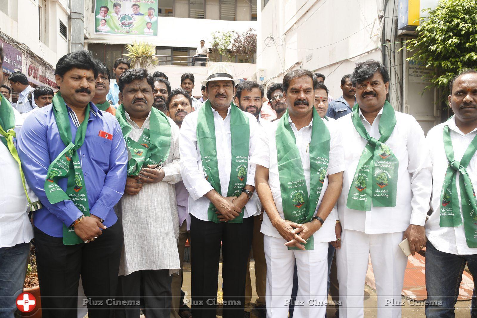 MAA Haritha Haram Event Photos | Picture 1058281
