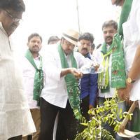 MAA Haritha Haram Event Photos | Picture 1058261