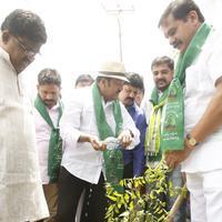 MAA Haritha Haram Event Photos | Picture 1058266