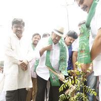 MAA Haritha Haram Event Photos | Picture 1058286