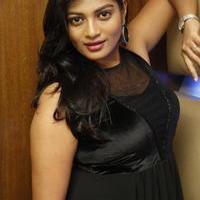 Soumya - Malini and Co Movie Team Cheers Party Photos | Picture 1063404