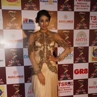 Sanjana Galrani at TSR TV9 National Film Awards Stills | Picture 1070747
