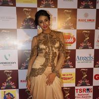 Sanjana Galrani at TSR TV9 National Film Awards Stills | Picture 1070763
