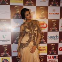 Sanjana Galrani at TSR TV9 National Film Awards Stills | Picture 1070765