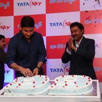 Mahesh Babu Launches Tata Sky 99 Pack Photos