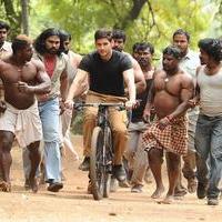Srimanthudu Movie New Gallery | Picture 1078271