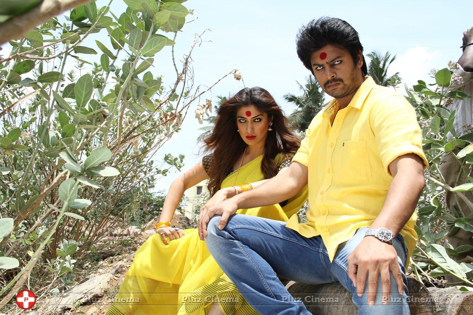 Begumpeta Movie Gallery | Picture 1079264