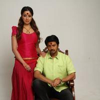 Begumpeta Movie Gallery | Picture 1079241