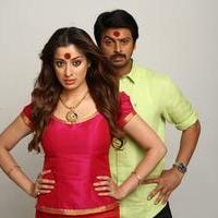Begumpeta Movie Gallery | Picture 1079243