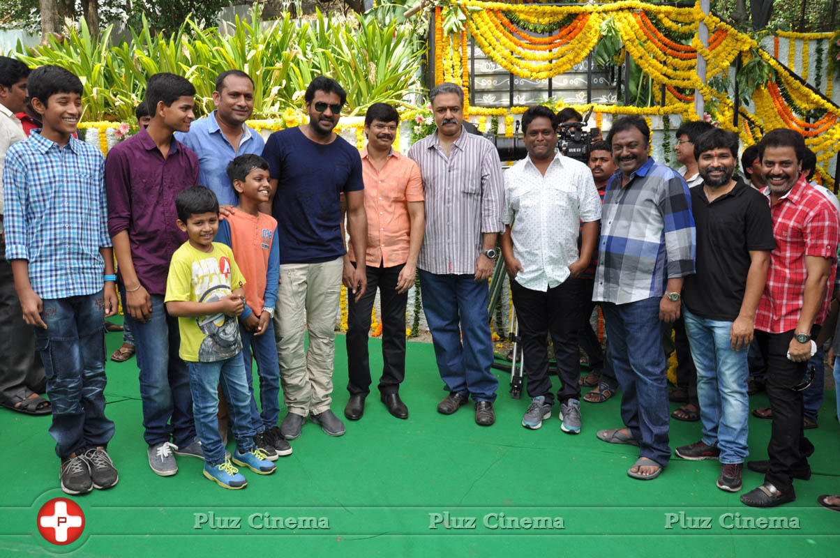 Sunil New Movie Opening Photos | Picture 1039499