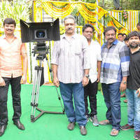 Sunil New Movie Opening Photos | Picture 1039576