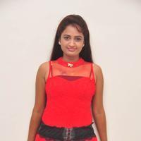 Kaveri at Andala Chandamama Press Meet Stills | Picture 1041542