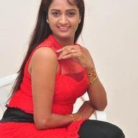 Kaveri at Andala Chandamama Press Meet Stills | Picture 1041547