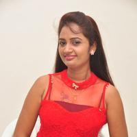 Kaveri at Andala Chandamama Press Meet Stills | Picture 1041557