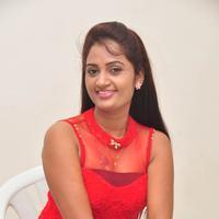 Kaveri at Andala Chandamama Press Meet Stills | Picture 1041561