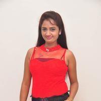 Kaveri at Andala Chandamama Press Meet Stills | Picture 1041577