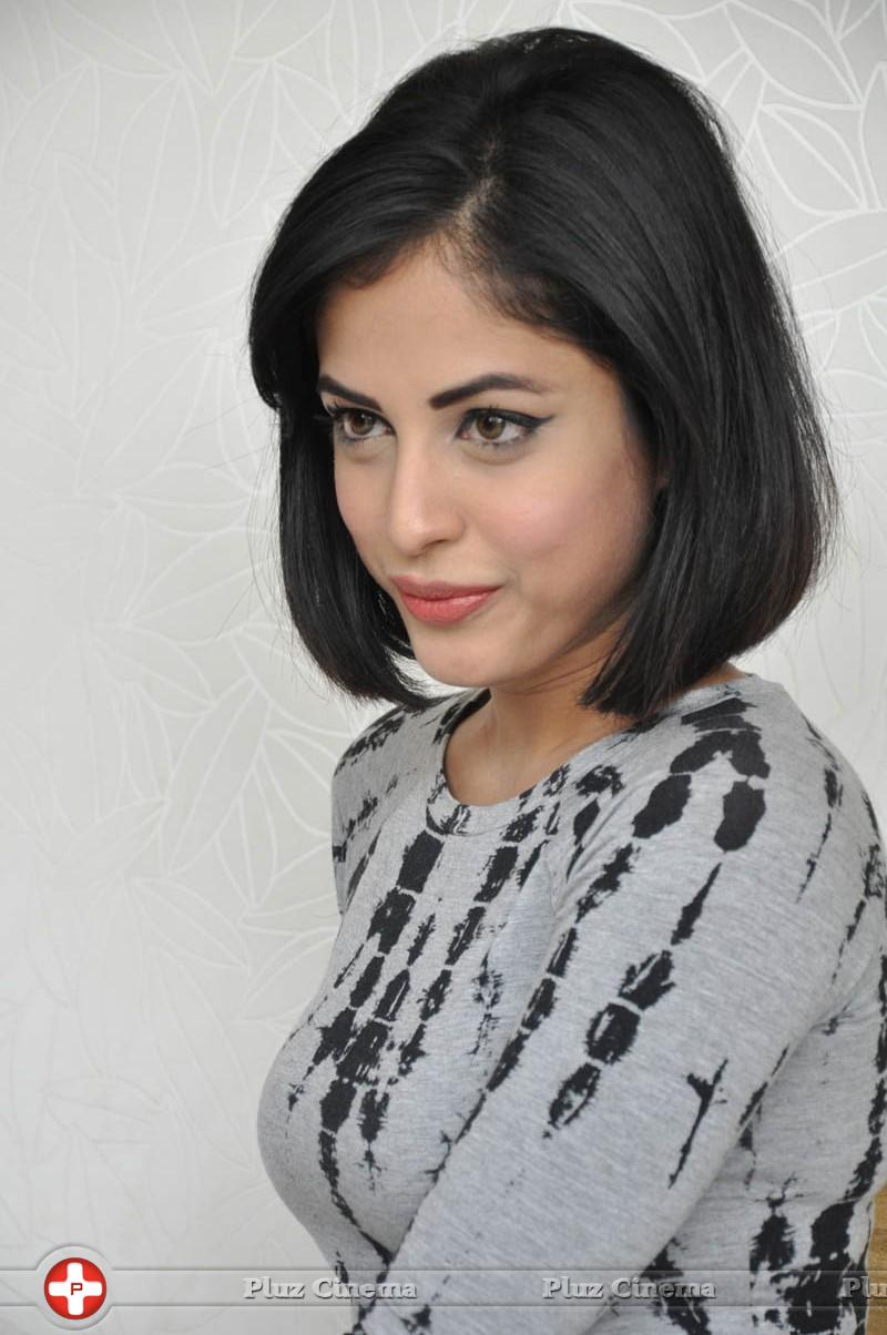 Priya Banerjee Pictures Gallery | Picture 1042200
