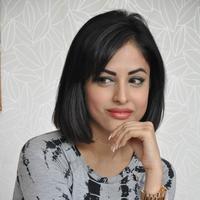Priya Banerjee Pictures Gallery | Picture 1042185