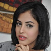 Priya Banerjee Pictures Gallery | Picture 1042186