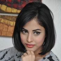 Priya Banerjee Pictures Gallery | Picture 1042196