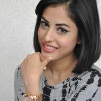 Priya Banerjee Pictures Gallery | Picture 1042199