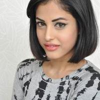 Priya Banerjee Pictures Gallery | Picture 1042201