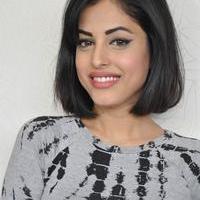 Priya Banerjee Pictures Gallery | Picture 1042206