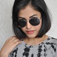 Priya Banerjee Pictures Gallery | Picture 1042211