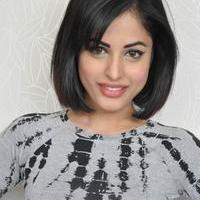 Priya Banerjee Pictures Gallery | Picture 1042224