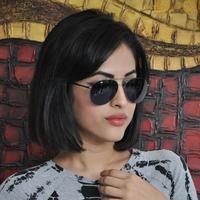 Priya Banerjee Pictures Gallery | Picture 1042266