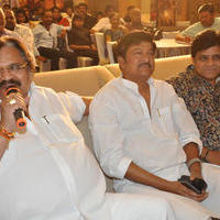 Malupu Movie Audio Launch Stills | Picture 1046813