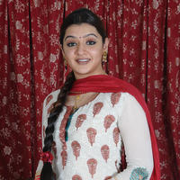 Aarthi Agarwal - Operation Green Hunt Movie Gallery | Picture 1047237