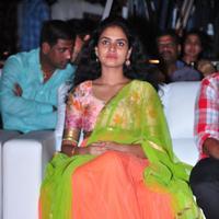 Sukriti at Kerintha Movie Platinum Disc Function Photos | Picture 1051208