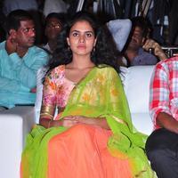 Sukriti at Kerintha Movie Platinum Disc Function Photos | Picture 1051215