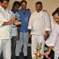 Kakateeyudu Movie Audio Launch Photos | Picture 1052061