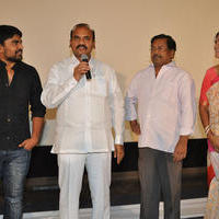 Kakateeyudu Movie Audio Launch Photos